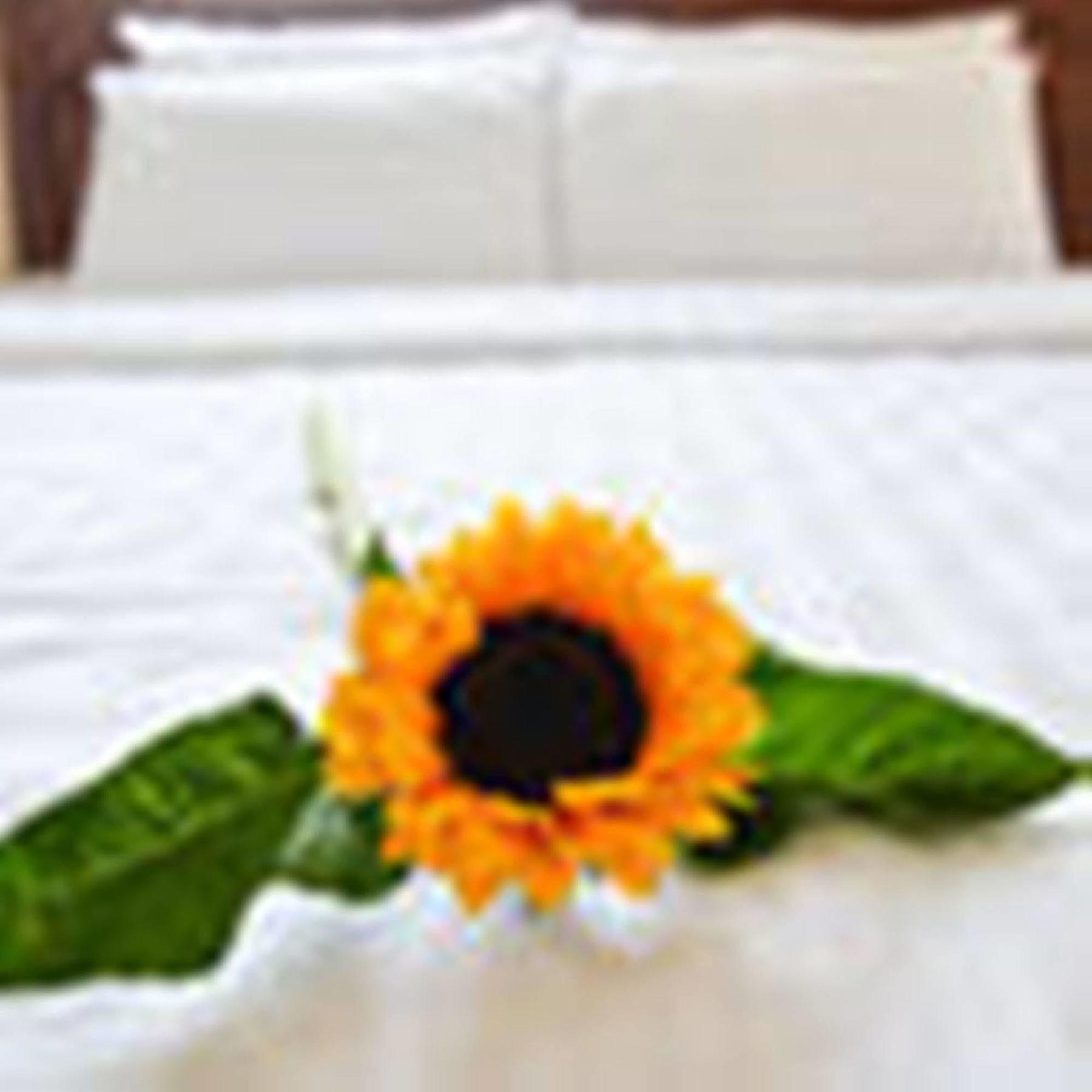 Fulmar Hotel Da Nang Exteriör bild